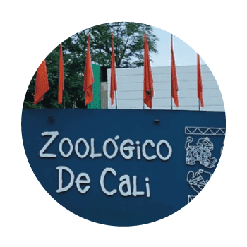 Zoológico de Cali